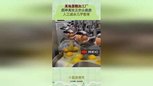 未來(lái)食品加工的革命 某地蛋糕加工廠的效率與健康之道