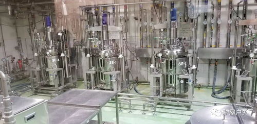 養(yǎng)樂(lè)多工廠探游 100億活性菌的健康秘密